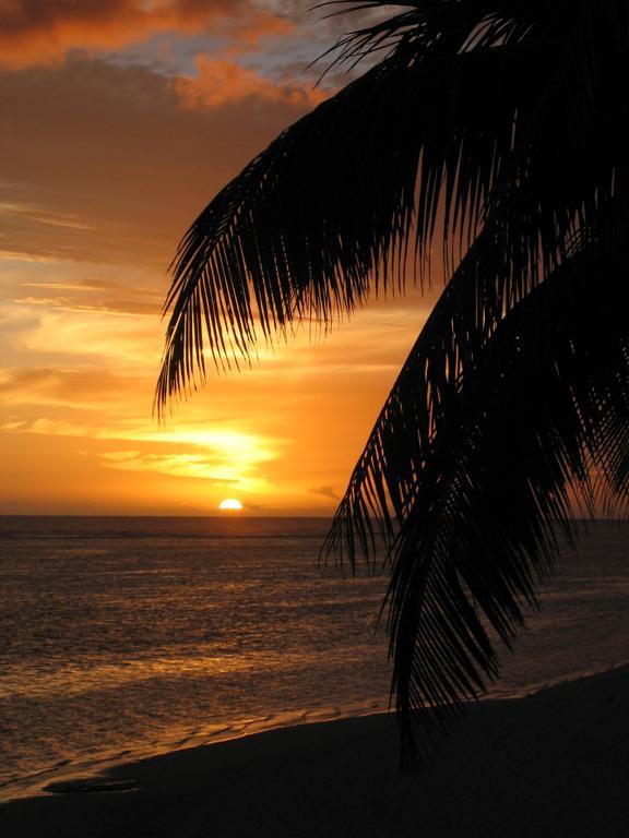 Motu Beachfront Art Villas Rarotonga Room photo